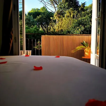 Отель Instant Cosy *